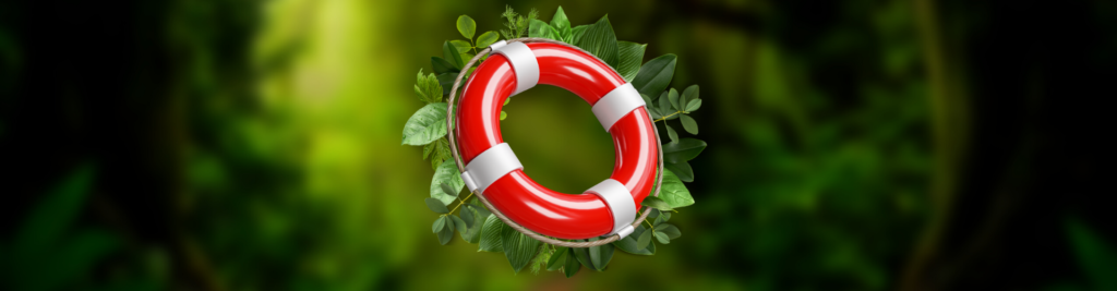 koło ratunkowe dla przedsiębiorców