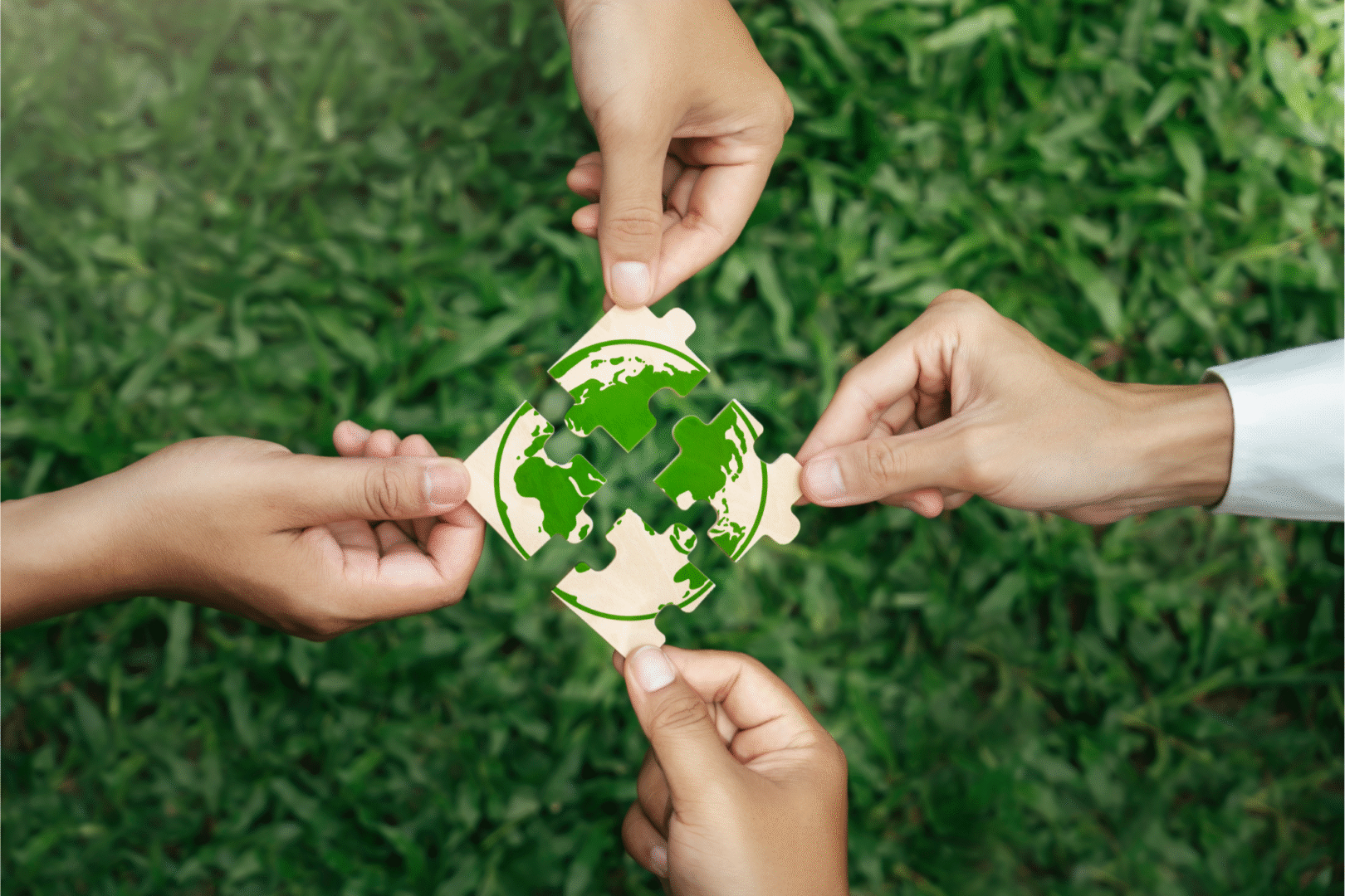 Cztery dłonie łączące puzzle z zieloną mapą świata – symbol współpracy na rzecz ochrony środowiska.
